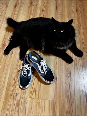 Navy and Black Old Skool Vans
